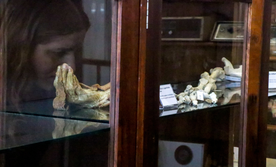 Polícia Científica promove visita especial pelo Dia do Repórter