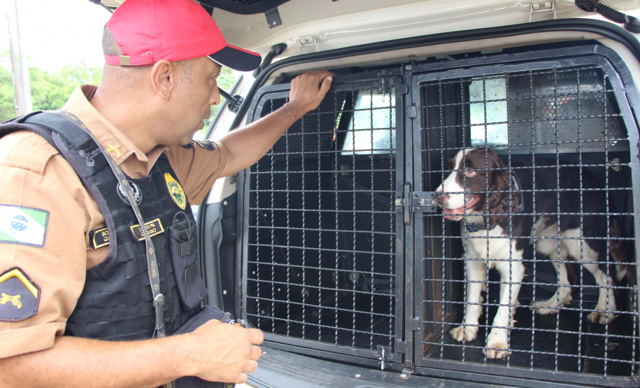 Cães da Polícia Rodoviária Estadual ajudam a garantir Carnaval mais seguro no Litoral