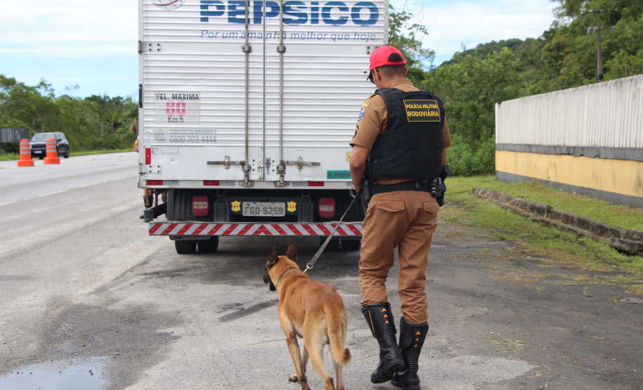 Cães da Polícia Rodoviária Estadual ajudam a garantir Carnaval mais seguro no Litoral