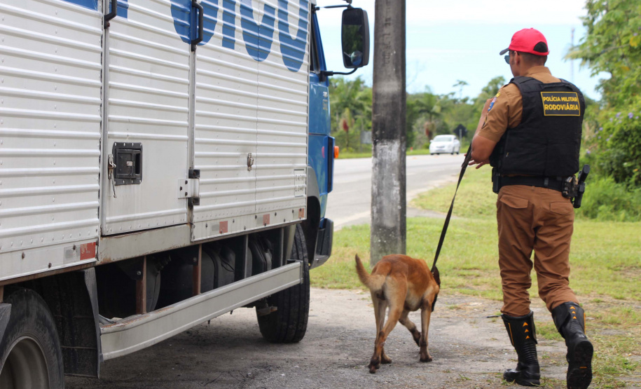 Cães da Polícia Rodoviária Estadual ajudam a garantir Carnaval mais seguro no Litoral