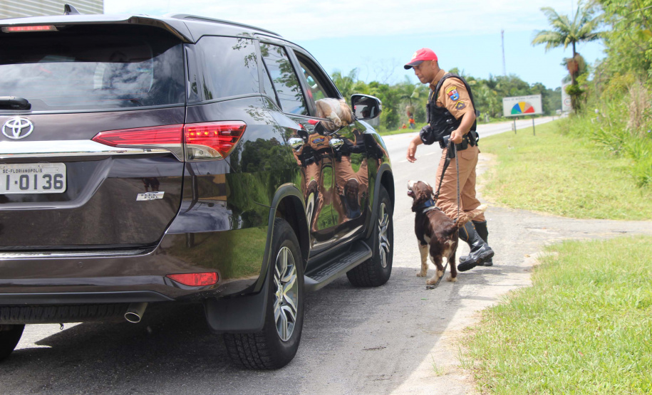 Cães da Polícia Rodoviária Estadual ajudam a garantir Carnaval mais seguro no Litoral