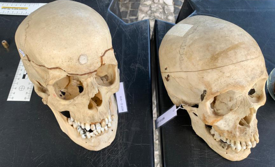 Mais de mil pessoas visitaram mostras itinerantes do Museu de Ciências Forenses no Litoral