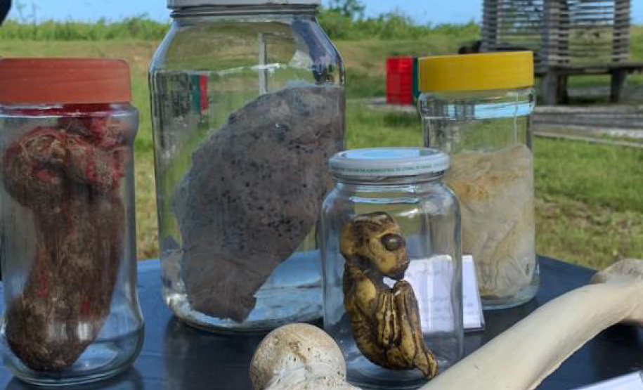 Mais de mil pessoas visitaram mostras itinerantes do Museu de Ciências Forenses no Litoral