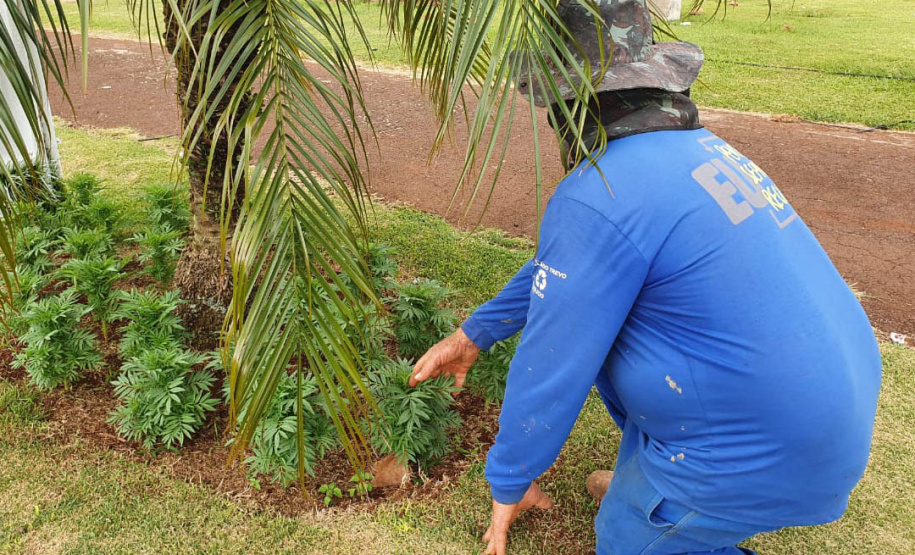 Pessoas privadas de liberdade participam de preparação do 35° Show Rural de Cascavel