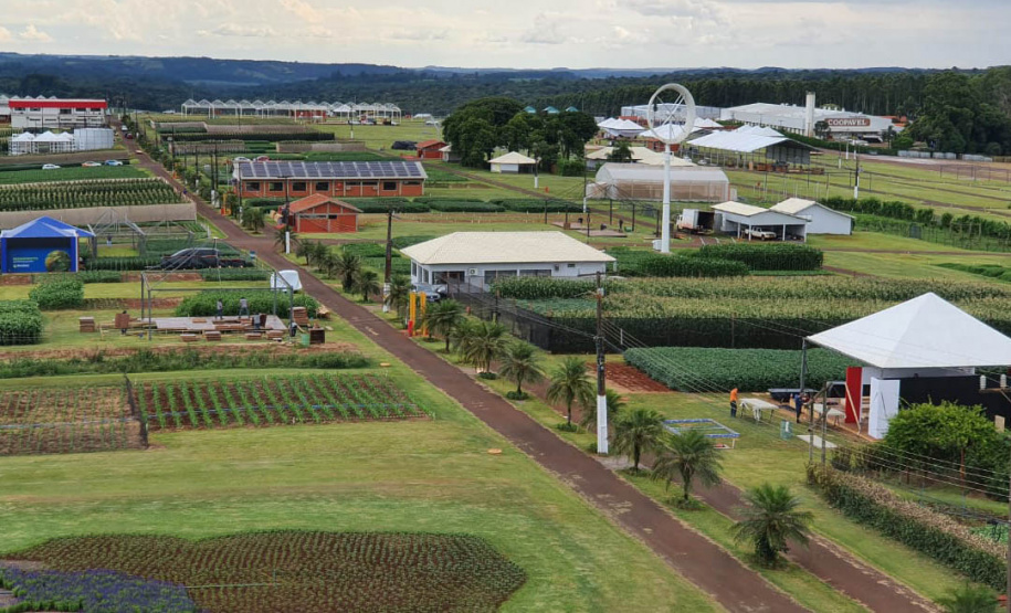 Pessoas privadas de liberdade participam de preparação do 35° Show Rural de Cascavel