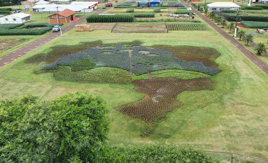 Pessoas privadas de liberdade participam de preparação do 35° Show Rural de Cascavel