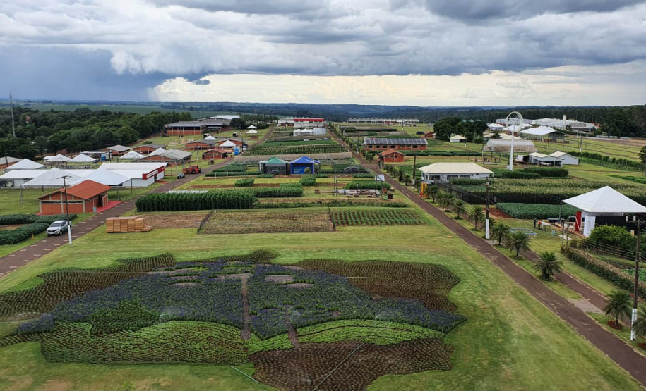 Pessoas privadas de liberdade participam de preparação do 35° Show Rural de Cascavel