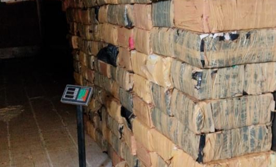 Com denúncias registradas no 181, segurança apreende mais de 3 toneladas de maconha em janeiro