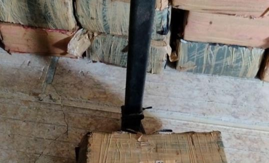 Com denúncias registradas no 181, segurança apreende mais de 3 toneladas de maconha em janeiro