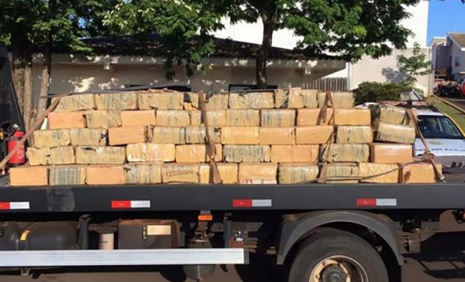 Com denúncias registradas no 181, segurança apreende mais de 3 toneladas de maconha em janeiro
