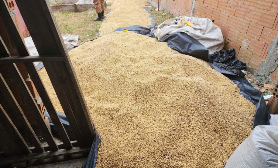 Após denúncia pelo 181, Polícia Militar apreende três toneladas de soja furtadas em Paranaguá