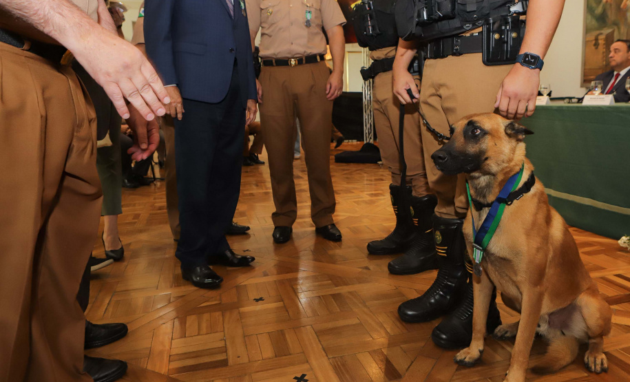 Casa Militar comemora 95 anos e condecora autoridades com medalhas de mérito