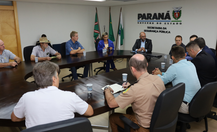 Secretário da segurança recebe deputada Flávia Francischini