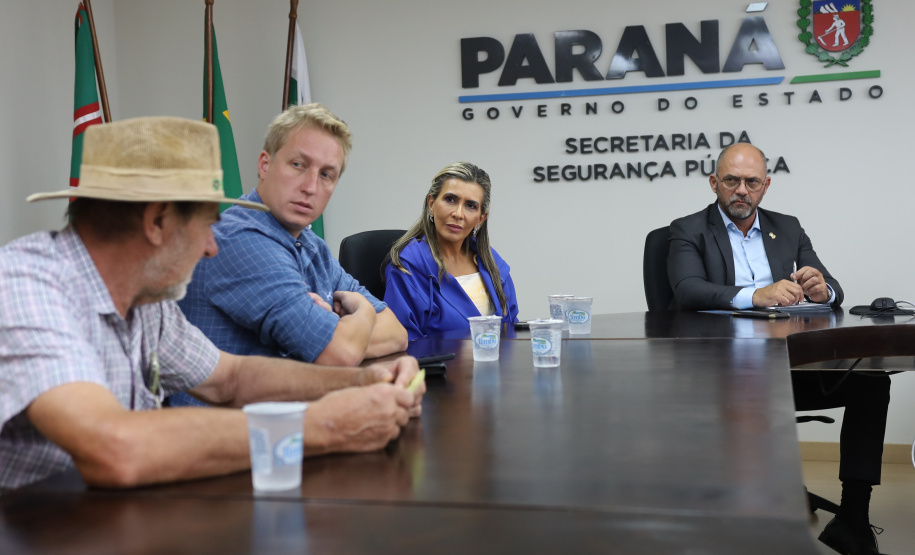Secretário da segurança recebe deputada Flávia Francischini