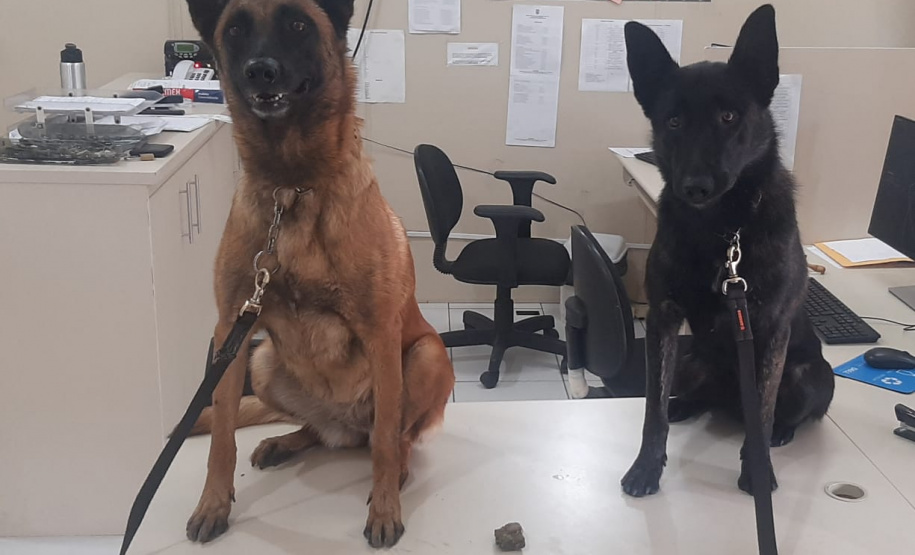 Três pessoas são presas durante operação conjunta em Telêmaco Borba