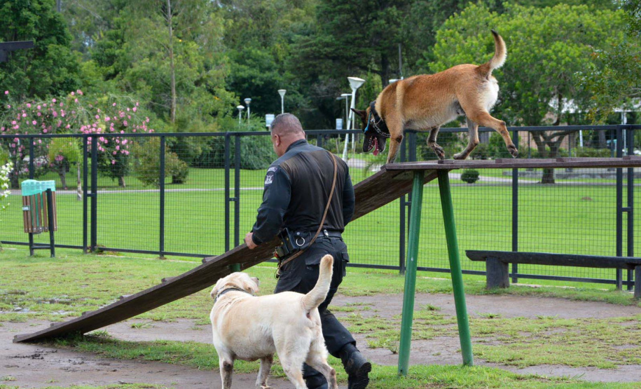 1ª Cãominhada das Forças Policiais vai movimentar São José dos Pinhais no domingo