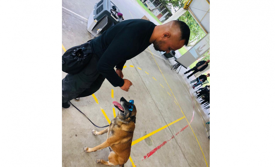 Policiais do SOE ministram palestra em colégio da rede estadual do Paraná