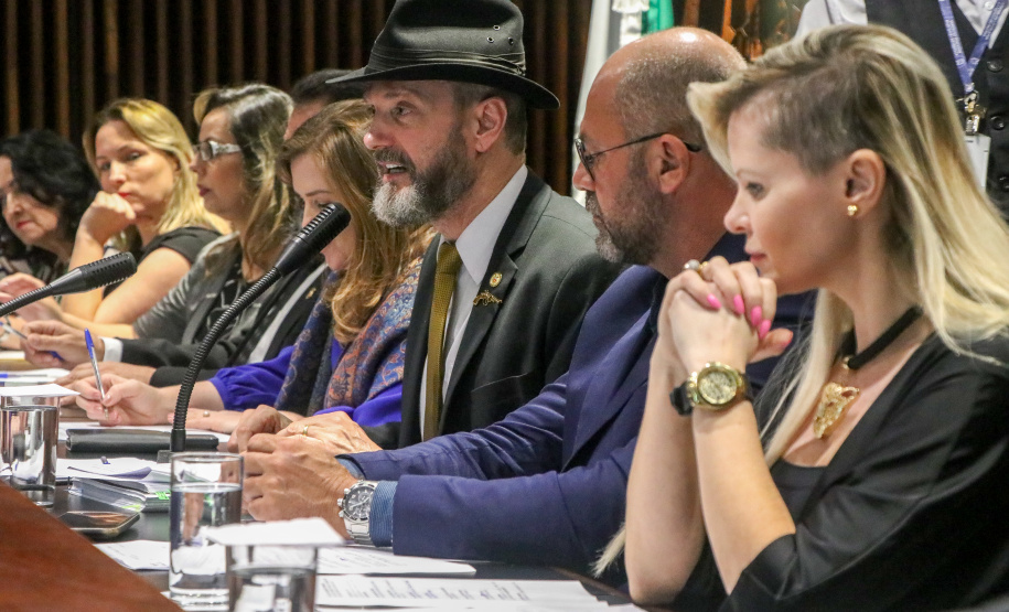 Secretário participa de audiência pública na Alep em homenagem ao Dia Estadual dos Consegs