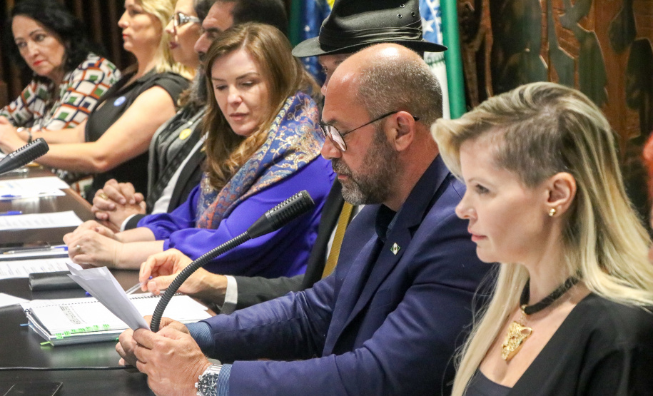 Secretário participa de audiência pública na Alep em homenagem ao Dia Estadual dos Consegs