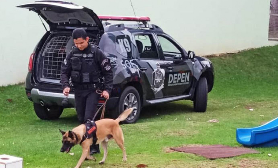 Projeto educativo sobre animais em CMEIs de Maringá tem apoio de cães da Polícia Penal