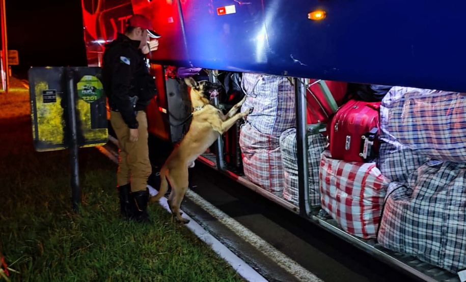 Operação integrada nas fronteiras e divisas resulta em 3,4 toneladas de drogas apreendidas