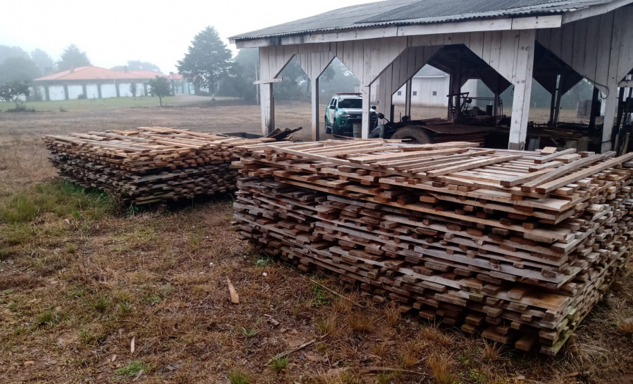 Operação conjunta combate comércio de madeira ilegal no Sul do Paraná