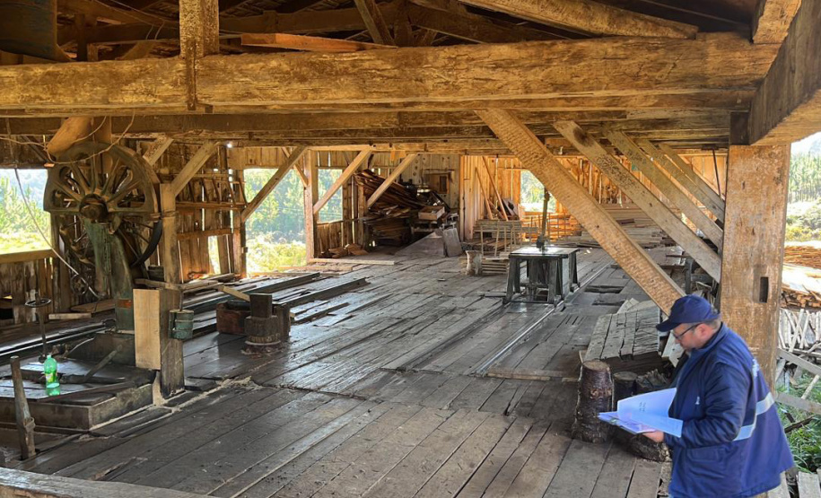 Operação conjunta combate comércio de madeira ilegal no Sul do Paraná