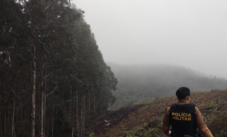 Polícia Militar resgata aves nativas e prende seis pessoas por crimes ambientais na RMC