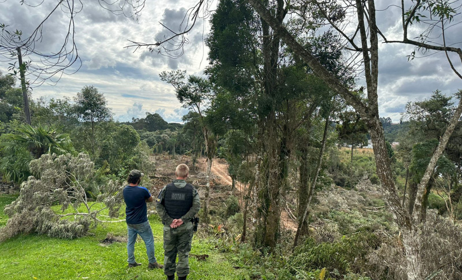 Polícia Militar resgata aves nativas e prende seis pessoas por crimes ambientais na RMC
