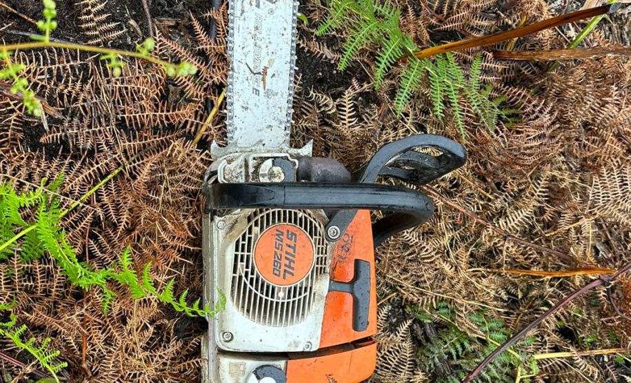 Polícia Militar resgata aves nativas e prende seis pessoas por crimes ambientais na RMC