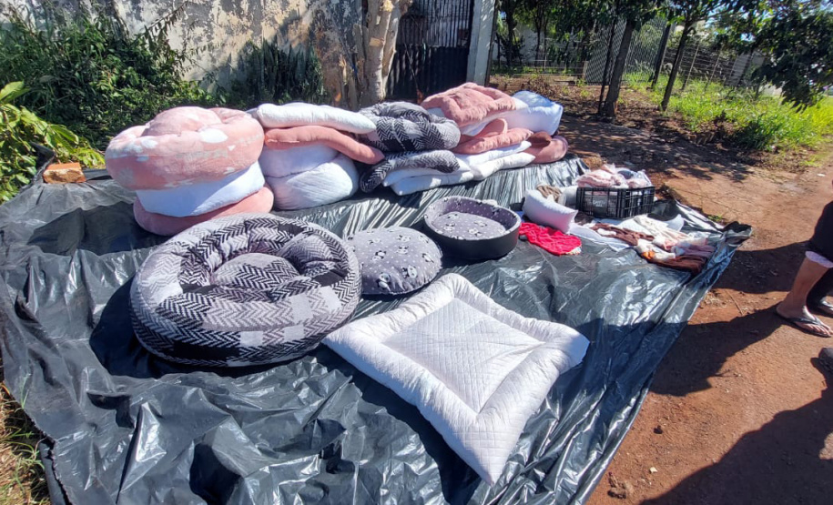 Polícia Penal doa camas e roupas pet feitas por detentos a abrigo de animais em Cascavel