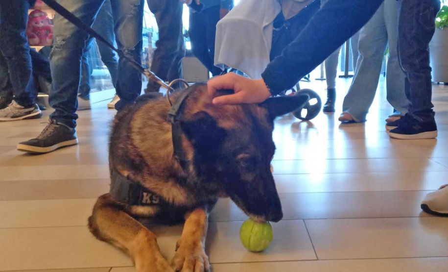 PCPR atende mil pessoas em evento de conscientização sobre drogas na Capital