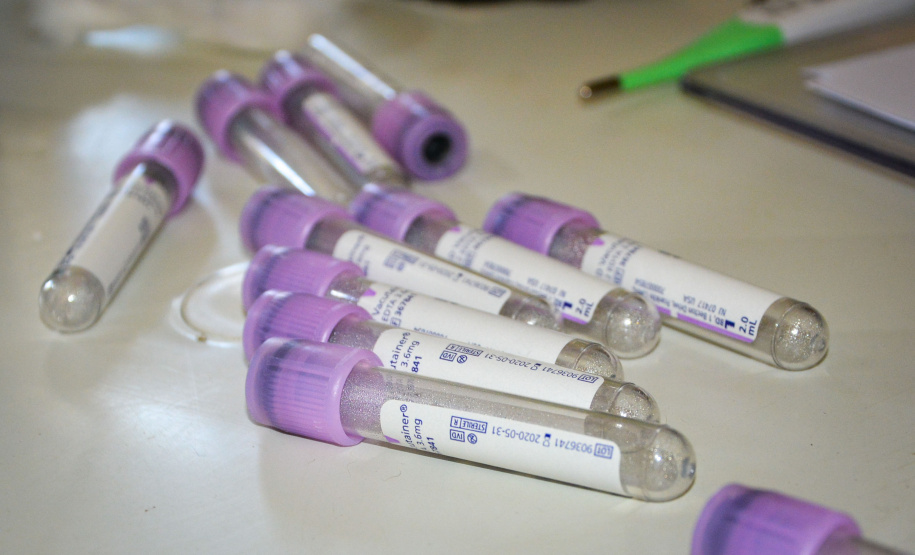 Cães de rua do Complexo Penitenciário de Piraquara são atendidos e vão à feira de adoção