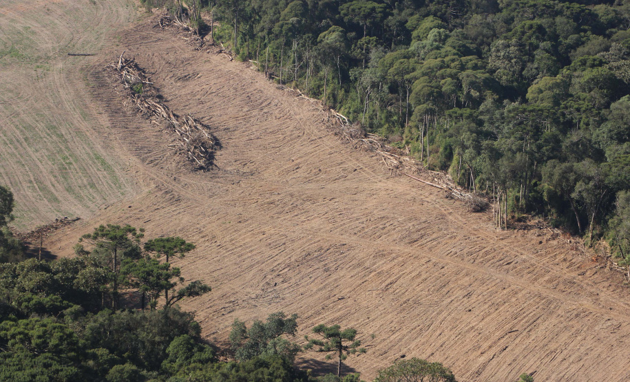 Polícia Militar apreende madeira ilegal durante operação no Sul do Paraná