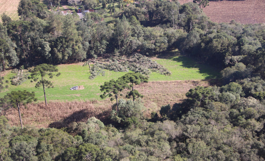 Polícia Militar apreende madeira ilegal durante operação no Sul do Paraná