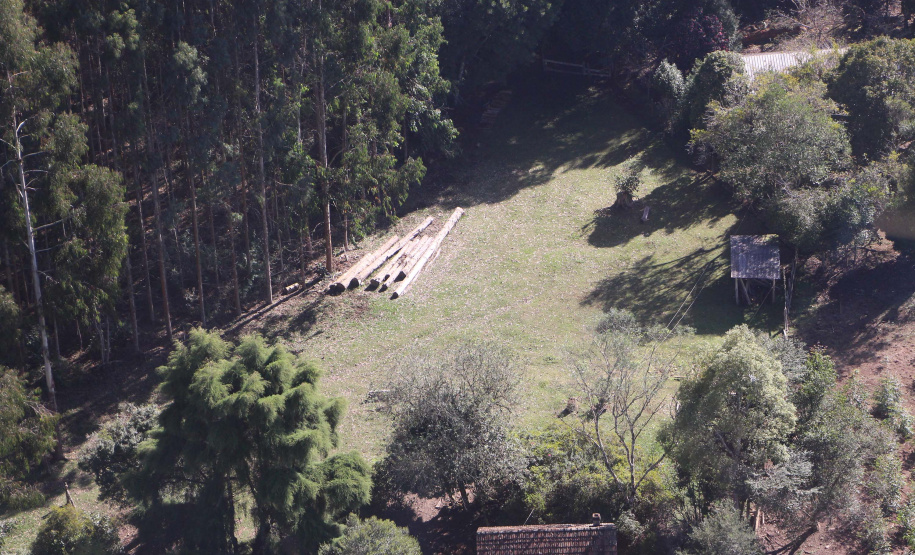 Polícia Militar apreende madeira ilegal durante operação no Sul do Paraná