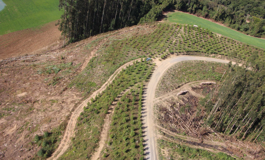 Polícia Militar apreende madeira ilegal durante operação no Sul do Paraná