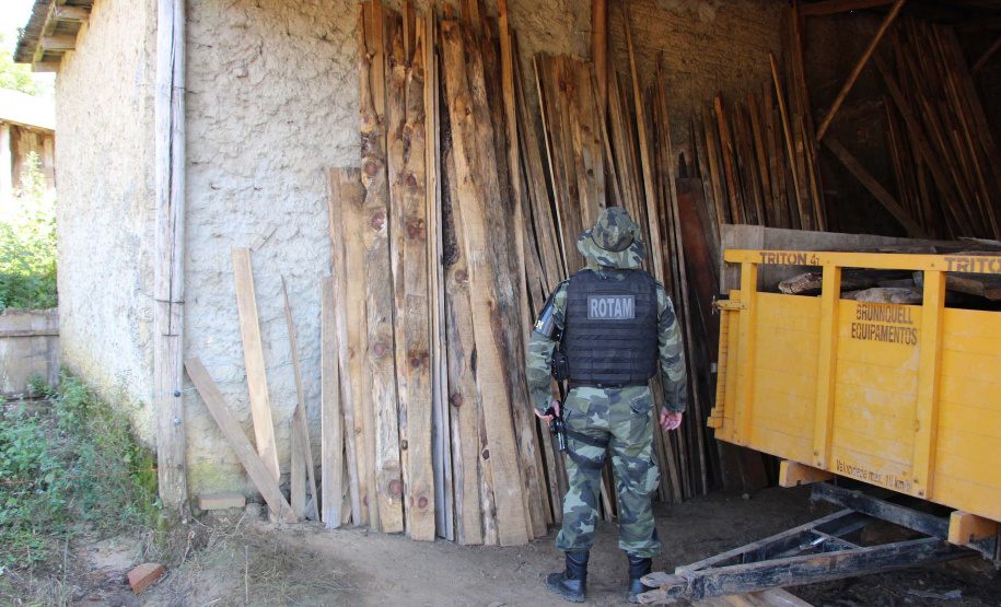 Polícia Militar apreende madeira ilegal durante operação no Sul do Paraná