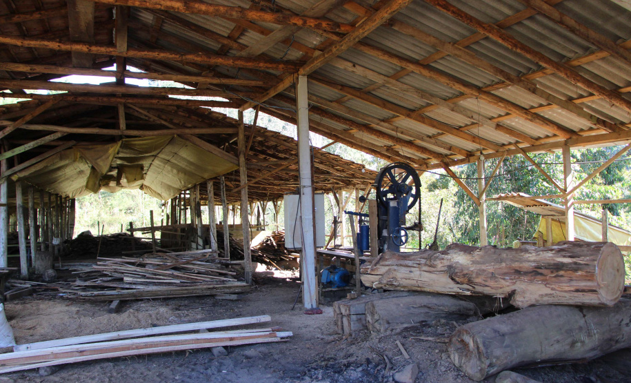 Polícia Militar apreende madeira ilegal durante operação no Sul do Paraná