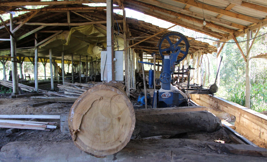 Polícia Militar apreende madeira ilegal durante operação no Sul do Paraná