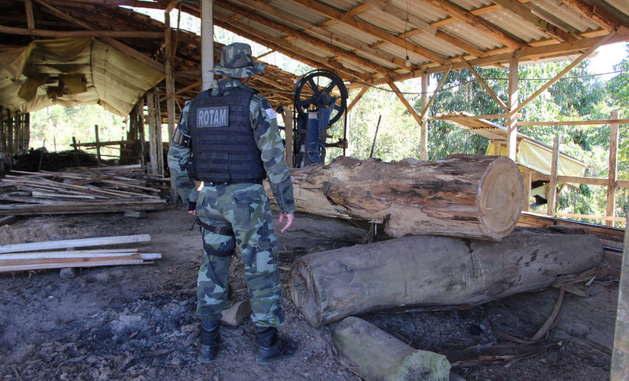 Polícia Militar apreende madeira ilegal durante operação no Sul do Paraná