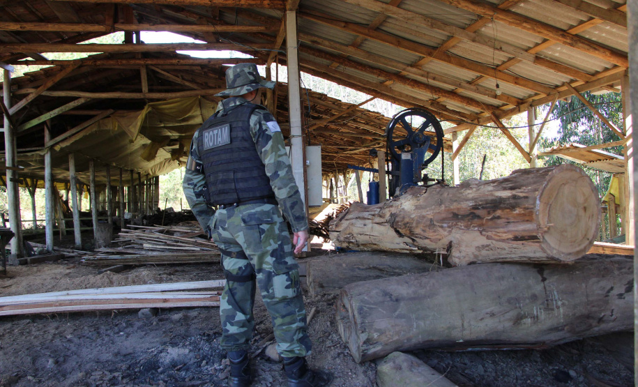 Polícia Militar apreende madeira ilegal durante operação no Sul do Paraná