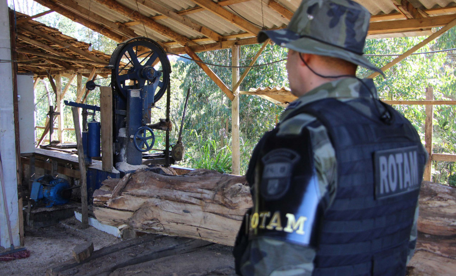 Polícia Militar apreende madeira ilegal durante operação no Sul do Paraná