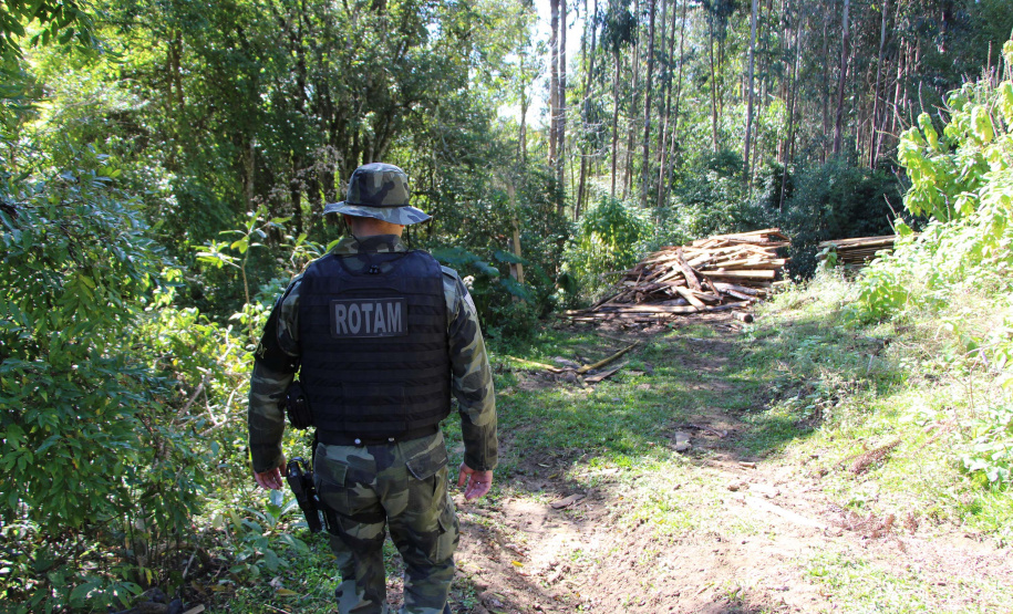 Polícia Militar apreende madeira ilegal durante operação no Sul do Paraná