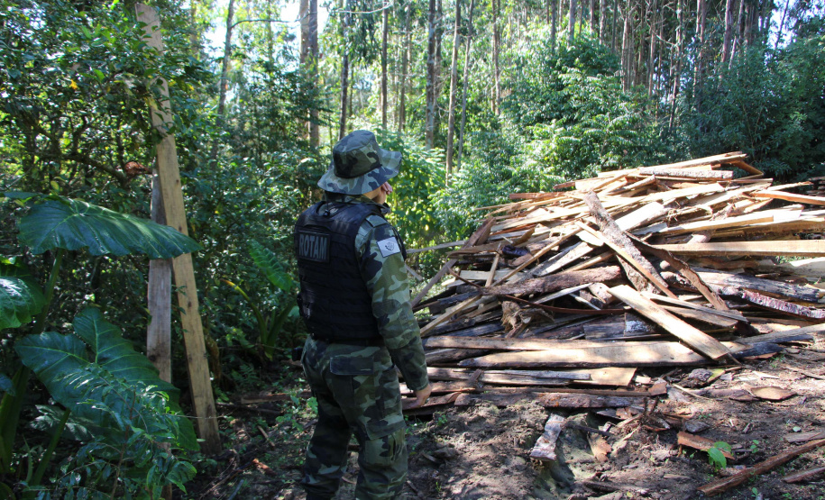 Polícia Militar apreende madeira ilegal durante operação no Sul do Paraná