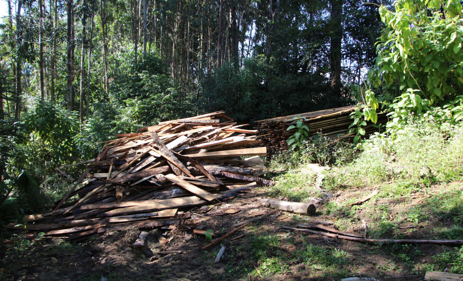 Polícia Militar apreende madeira ilegal durante operação no Sul do Paraná