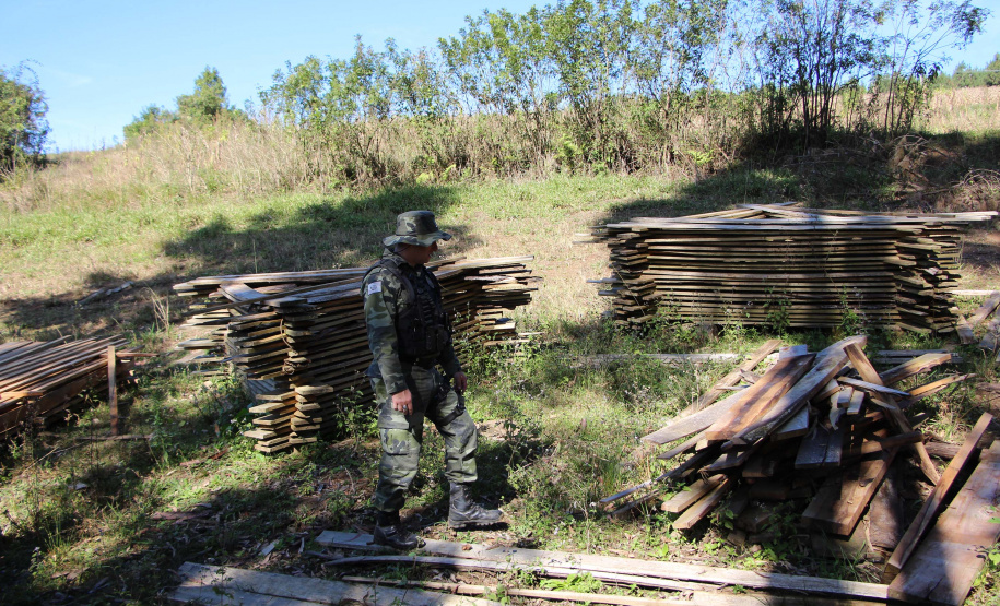 Polícia Militar apreende madeira ilegal durante operação no Sul do Paraná