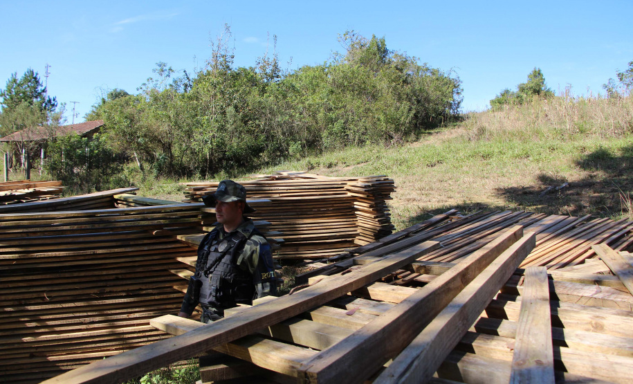 Polícia Militar apreende madeira ilegal durante operação no Sul do Paraná