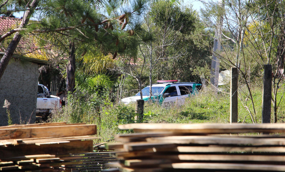 Polícia Militar apreende madeira ilegal durante operação no Sul do Paraná