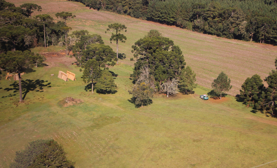Polícia Militar apreende madeira ilegal durante operação no Sul do Paraná